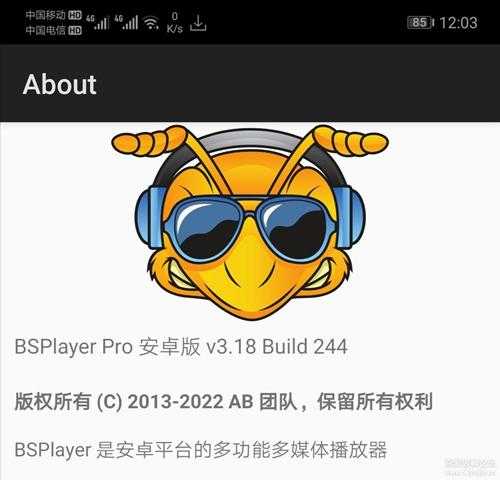 BSPlayer Pro v3.18.244完整版-硬件加速播放器